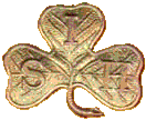 South Irish Horse badge