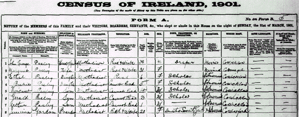 1901 Census Ireland Ballinacor (Tinahely, Wicklow)